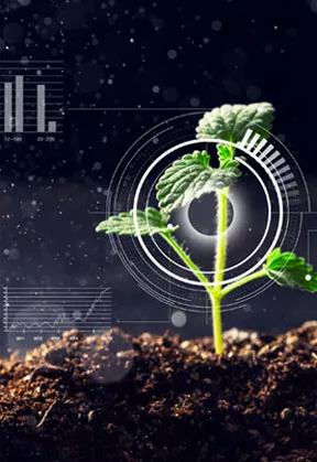 智慧农业 | 物联网开发解决方案